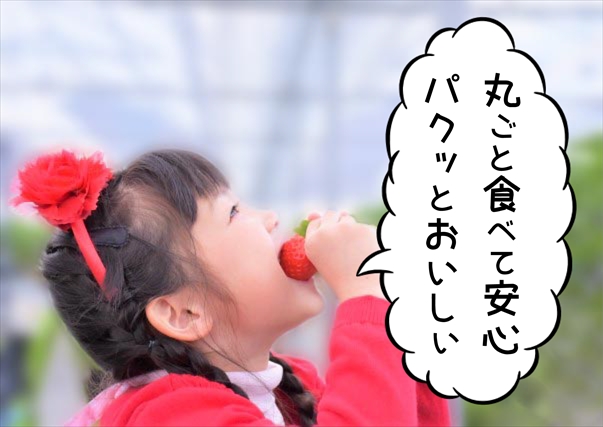 苺を食べる子供